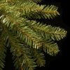 Fir Wood * | 6.5Ft Pre-Lit Dunhill Fir Artificial Christmas Tree Led Dual Color Lights National Tree Company