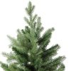 Pine * | Northlight 6 Mixed Eden Pine Artificial Christmas Tree Unlit