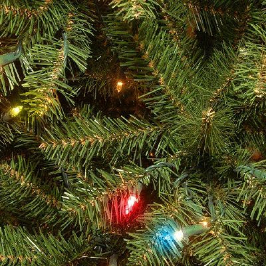 Spruce * | National Tree Company Pre-Lit Artificial Slim Christmas Tree, Green, Aspen Spruce, Multicolor Lights, Includes Stand, 6.5 Feet