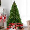 Pine * | Northlight 14 Pre-Lit Full Olympia Pine Artificial Christmas Tree Warm White Lights