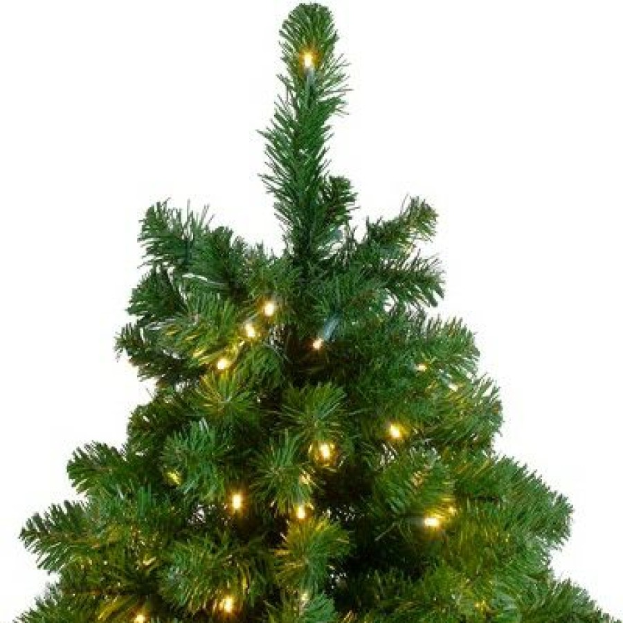 Pine * | Northlight 14 Pre-Lit Full Olympia Pine Artificial Christmas Tree Warm White Lights