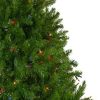 Pine * | Northlight 6.5 Prelit Full Artificial Christmas Tree Northern Pine Multi-Color Lights