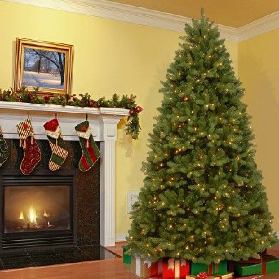 Spruce * | National Tree Company 6 Ft. Newberry Spruce Tree With Clear Lights