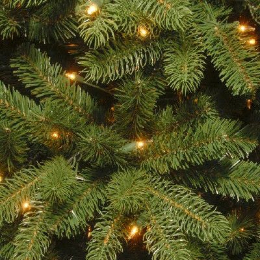 Spruce * | National Tree Company 6 Ft. Newberry Spruce Tree With Clear Lights