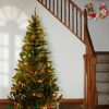 Fir Wood * | National Tree Company Pre-Lit Artificial Full Christmas Tree, Green, Canadian Fir Grande, Multicolor Lights, Includes Stand, 6 Feet