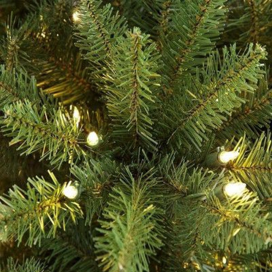 Unidentified Plant Variety * | Primo International Puleo International 7.5 Foot Fraser Fir Prelit Artificial Slim Christmas Tree With 500 Ul Listed Clear Lights, 1453 Branch Tips & Metal Stand, Green