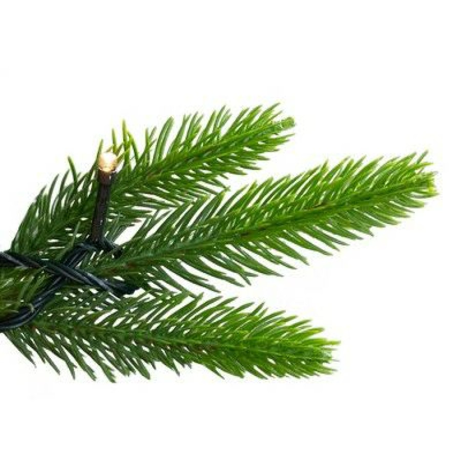 Pine * | Northlight 7.5 Pre-Lit Gunnison Pine Artificial Christmas Tree Clear Lights