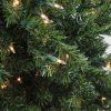 Pine * | Northlight 8 Prelit Artificial Christmas Tree Full Canadian Pine Clear Lights