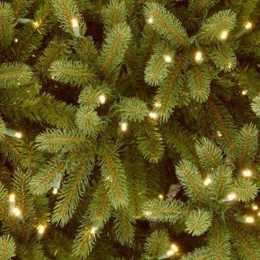 Fir Wood * | National Tree Company 9Ft National Christmas Tree Company Full Jersey Frasier Fir Medium Artificial Christmas Tree 1500 Dual Color Led