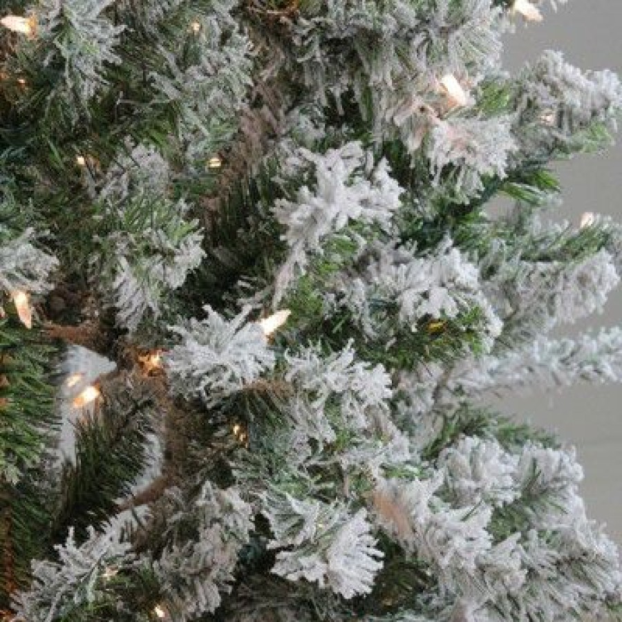 Pine * | Northlight 6 Prelit Artificial Christmas Tree Flocked Balsam Pine Clear Lights