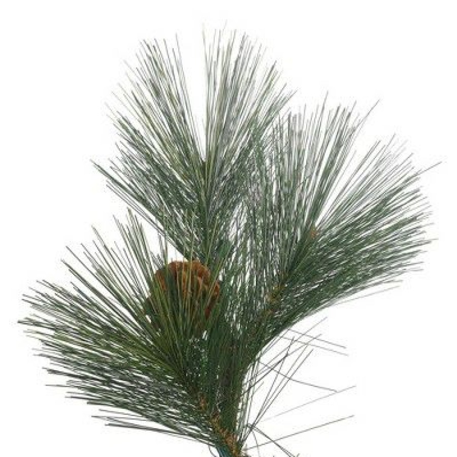 Unidentified Plant Variety * | Vickerman Christmas Tree Unlit