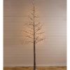 Unidentified Plant Variety * | Plow & Hearth Large Indoor / Outdoor Snowy Lighted Tree, 8'H With 120 Lights