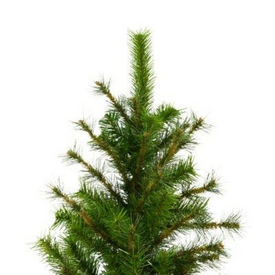 Unidentified Plant Variety * | Vickerman Minnesota Pine Half Artificial Christmas Tree