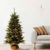 Unidentified Plant Variety * | National Tree Company 4Ft National Christmas Tree Company Burlap Artificial Christmas Tree With 150 Clear Lights