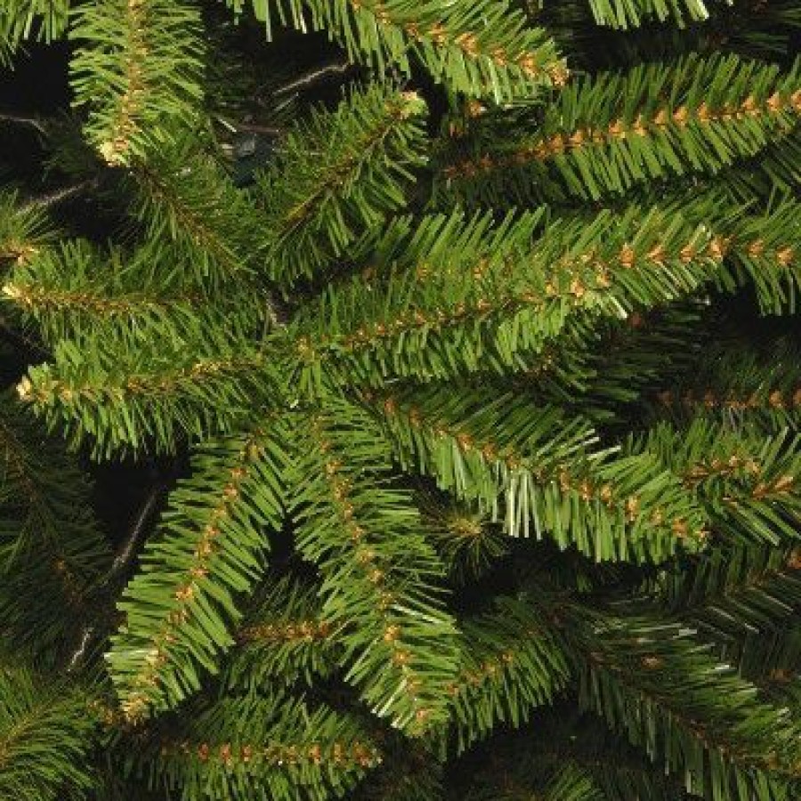 Fir Wood * | National Tree Company Artificial Slim Christmas Tree, Green, Kingswood Fir, White Lights, Includes Stand, 10 Feet