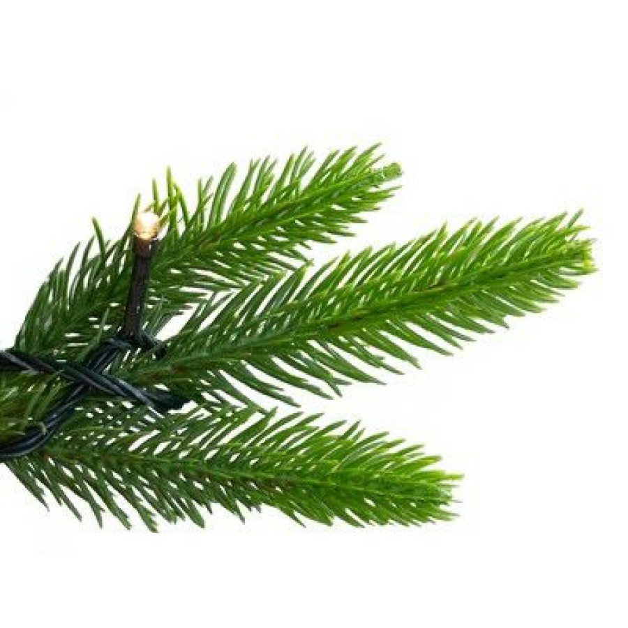 Pine * | Northlight 9 Pre-Lit Gunnison Pine Artificial Christmas Tree Clear Lights