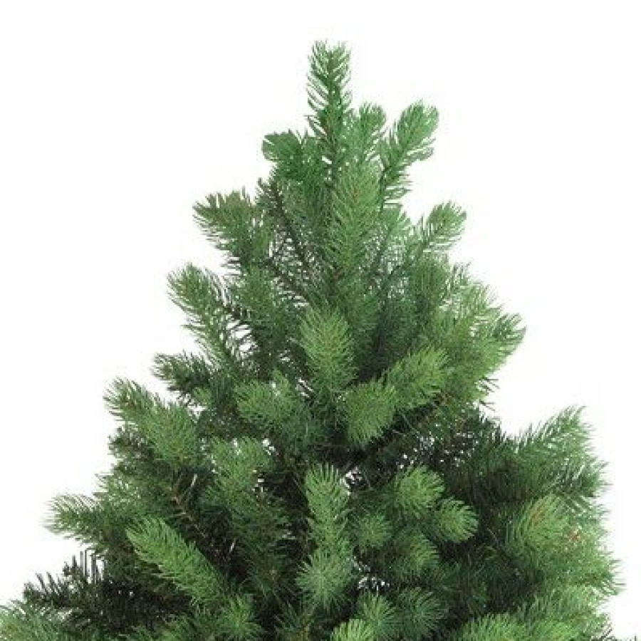 Noble Fir * | Northlight 6.5 Unlit Artificial Christmas Full Tree Noble Fir