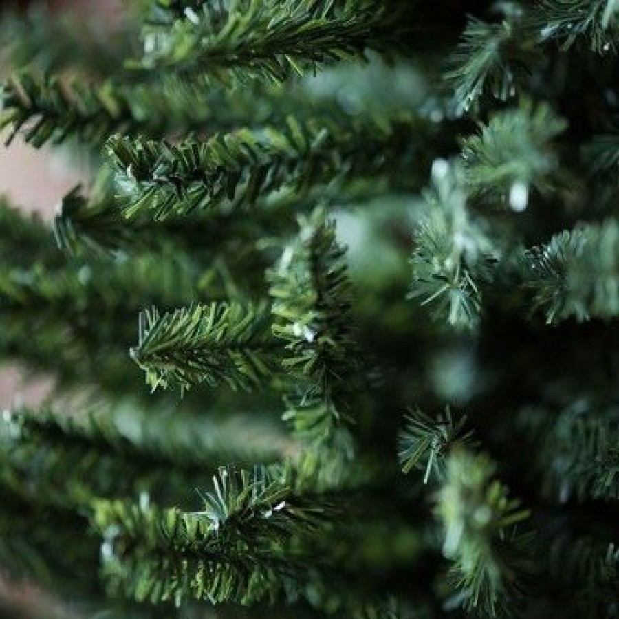 Unidentified Plant Variety * | Vickerman 24 Mini Pine Artificial Christmas Tree, Unlit