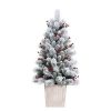 Fir Wood * | Haute Decor 4Ft Pre-Lit Flocked Ashcroft Fir Potted Artificial Christmas Tree Haute Decor