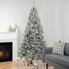 Pine * | Northlight 6.5 Heavily Flocked Madison Pine Artificial Christmas Tree, Unlit