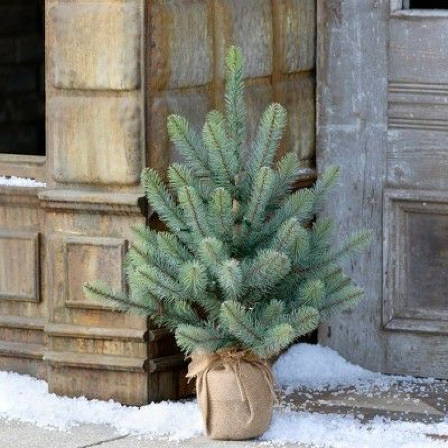 Spruce * | Park Hill Collection 24 Burlap Wrapped Blue Spruce Seedling With Led Battery Lights