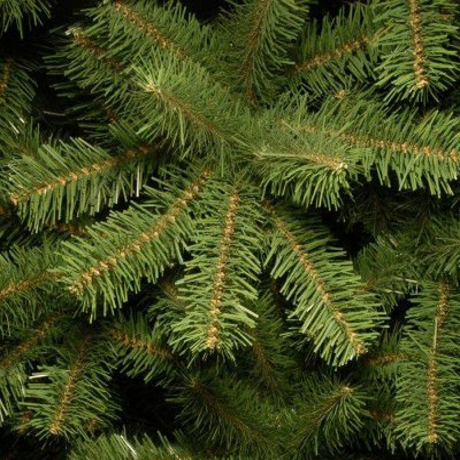 Spruce * | National Tree Company Artificial Giant Slim Christmas Tree, Green, North Valley Spruce, Includes Stand, 12 Feet