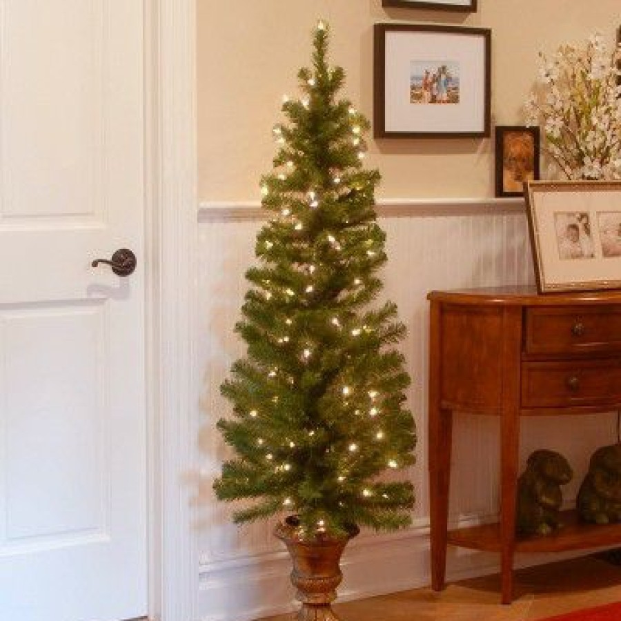 Spruce * | National Tree Company 5Ft National Christmas Tree Company Montclair Spruce Artificial Pencil Christmas Tree 100Ct Clear