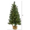 Fir Wood * | 3Ft Nearly Natural Pre-Lit Led Fraser Fir With Pinecones Artificial Christmas Tree Clear Lights In Burlap Base