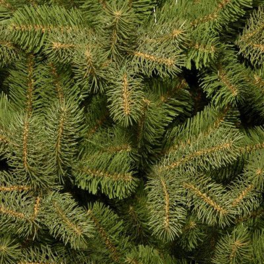 Fir Wood * | National Tree Company 'Feel Real' Artificial Giant Full Downswept Christmas Tree, Green, Douglas Fir, Includes Stand, 10 Feet