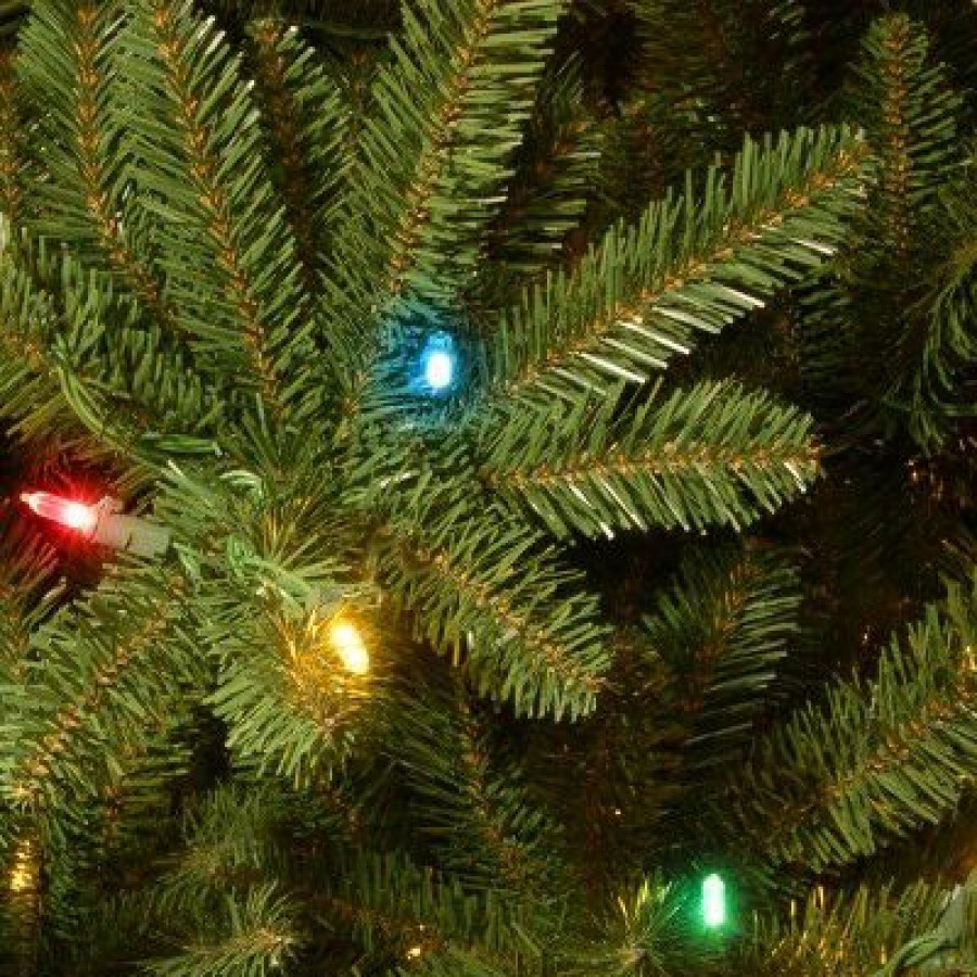 Fir Wood * | National Tree Company 6.5 Ft. Natural Fraser Slim Fir Tree With Multicolor Lights