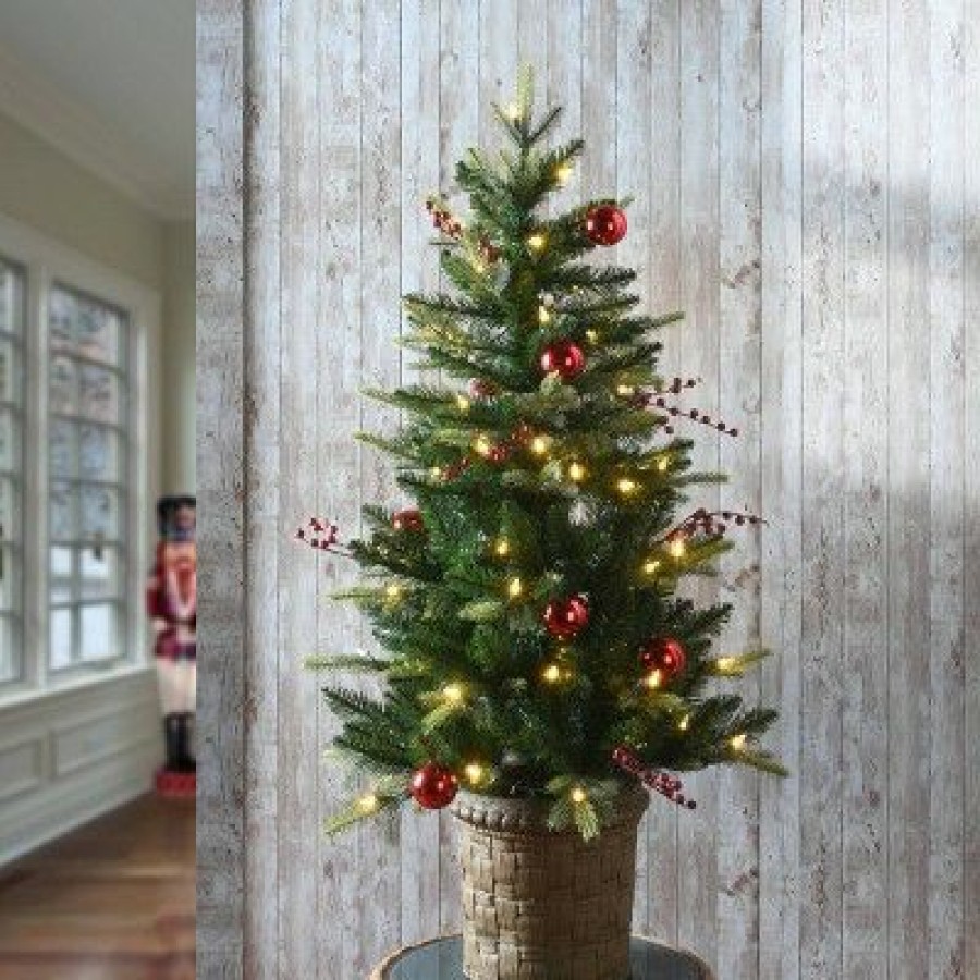 Pine * | National Tree Company 4' Pre-Lit Led Feel Real Scotch Creek Fir Potted Artificial Christmas Tree White Lights