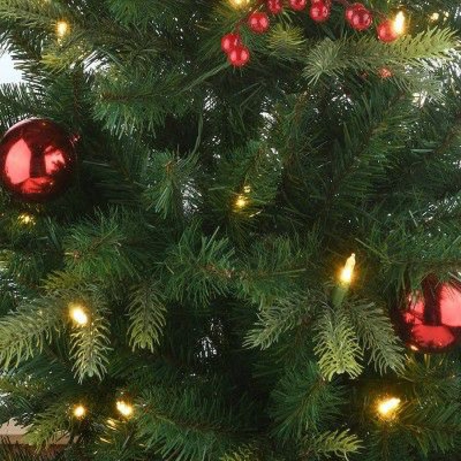 Pine * | National Tree Company 4' Pre-Lit Led Feel Real Scotch Creek Fir Potted Artificial Christmas Tree White Lights