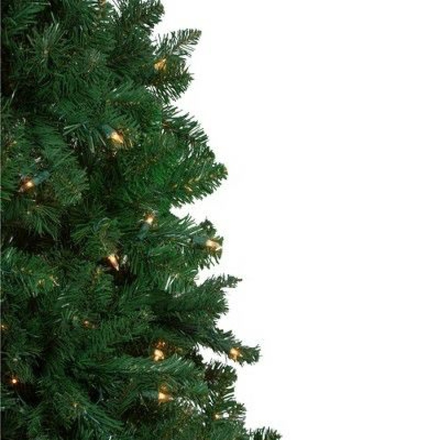 Pine * | Northlight 6.5 Ft Pre-Lit Ravenna Pine Artificial Christmas Tree Warm White Led Lights