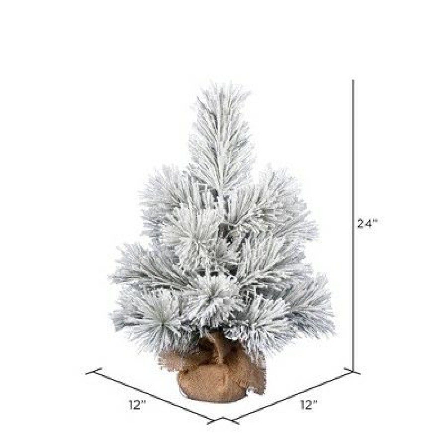 Unidentified Plant Variety * | Vickerman Frosted Beckett Pine Artificial Christmas Tree