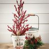 Unidentified Plant Variety * | Sullivans 3 & 1.8 Berry Artificial Tree Set Of 2, 22 H & 36 H Red