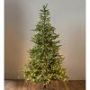 Unidentified Plant Variety * | Plow & Hearth Grandis Fir Christmas Tree With 1,100 Lights