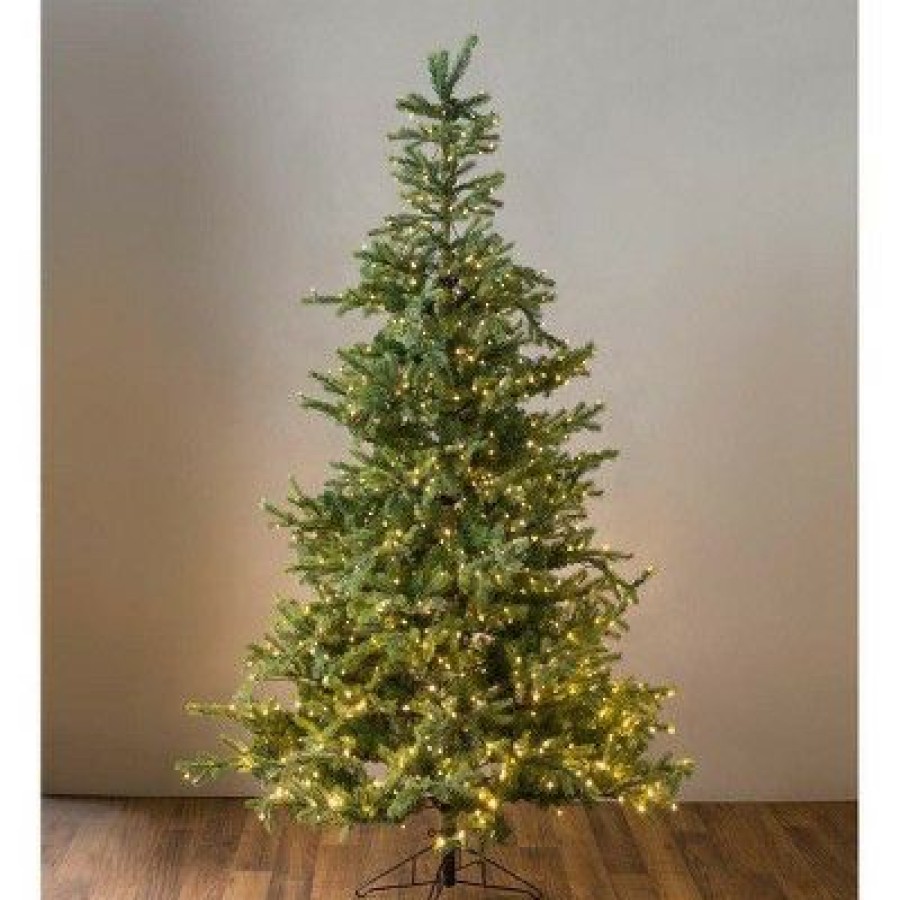 Unidentified Plant Variety * | Plow & Hearth Grandis Fir Christmas Tree With 1,100 Lights