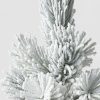 Unidentified Plant Variety * | 18" Unlit Flocked Artificial Christmas Tree With Open Metal Base Wondershop