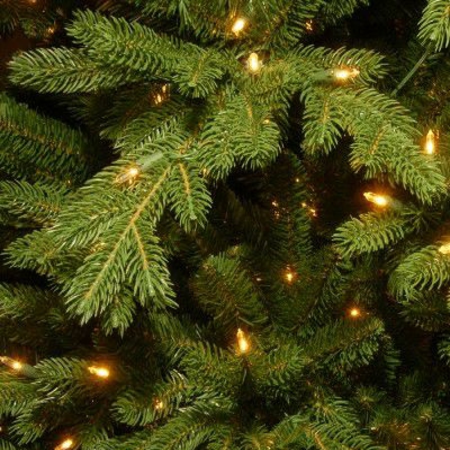 Fir Wood * | National Tree Company 7.5 Ft. Powerconnect(Tm) Princeton Deluxe Fraser Fir With Dual Color Led Lights