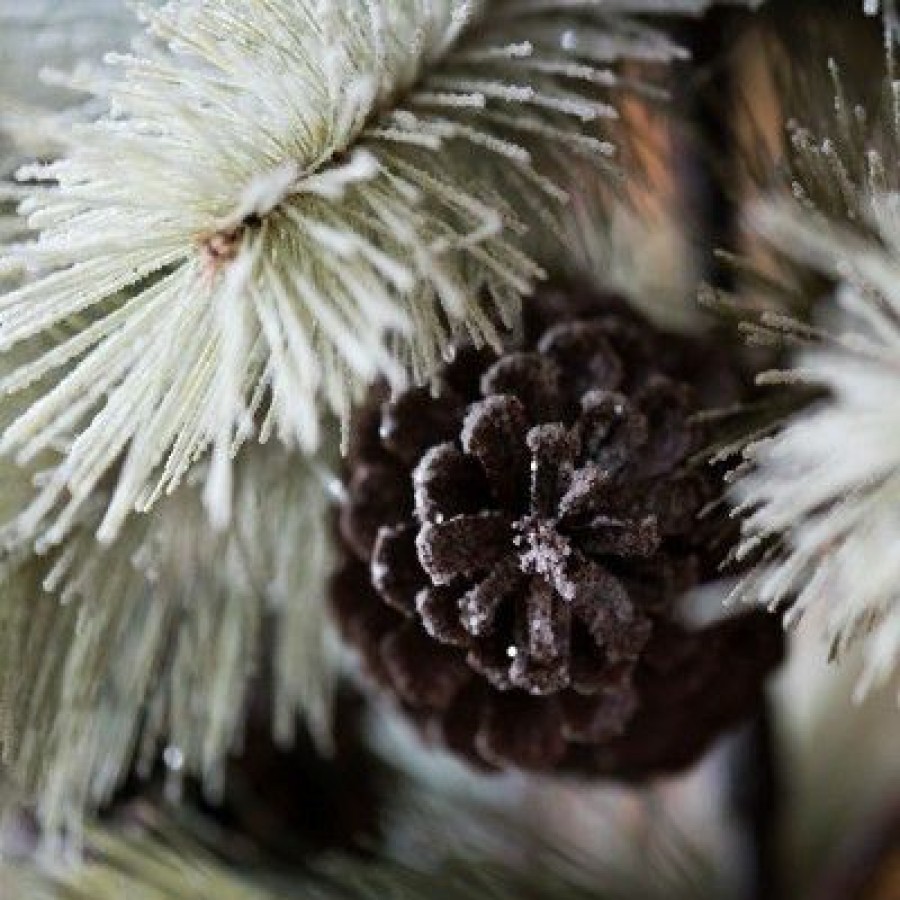 Unidentified Plant Variety * | Vickerman Frosted Bellevue Pine Artificial Christmas Tree