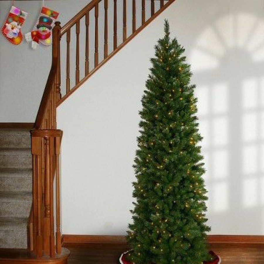 Fir Wood * | National Tree Company 7.5 Ft. Pennington Fir Pencil Tree With Clear Lights