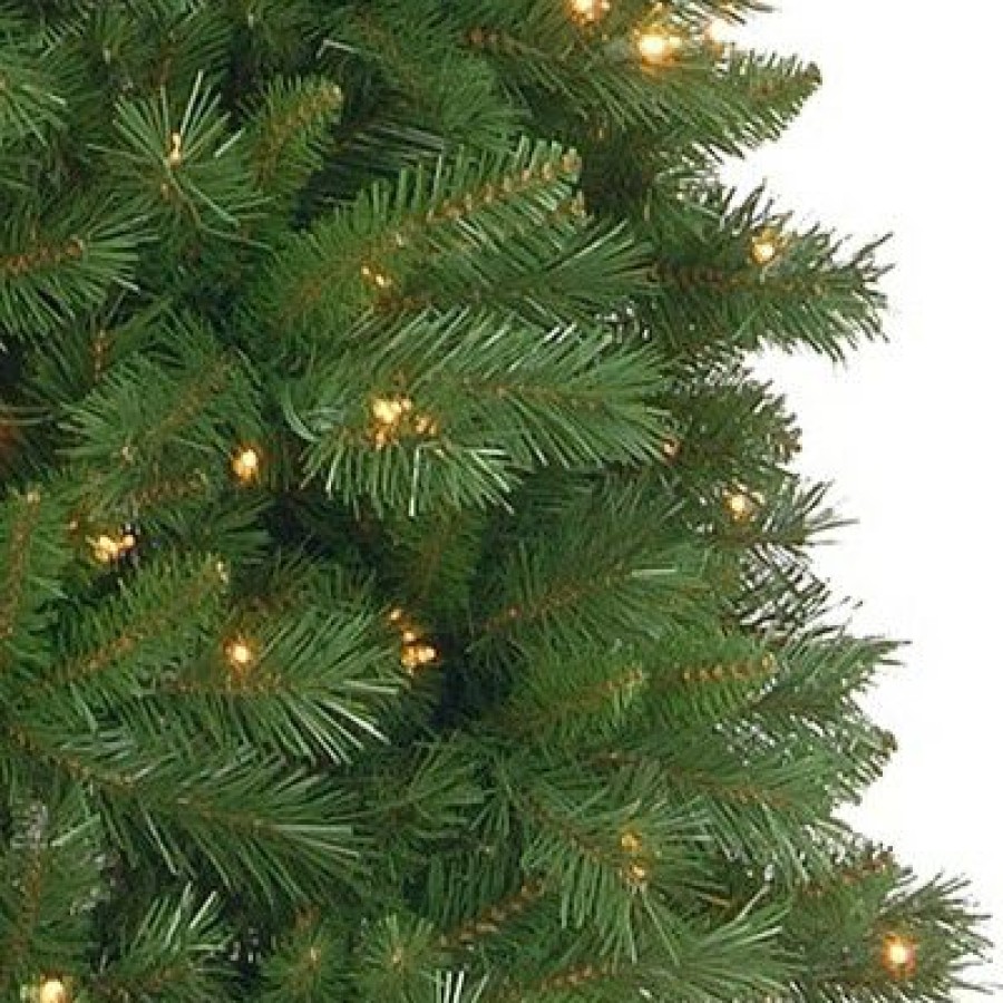 Fir Wood * | National Tree Company 7.5 Ft. Pennington Fir Pencil Tree With Clear Lights