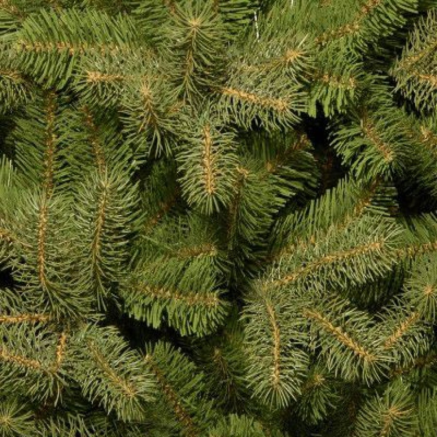 Fir Wood * | National Tree Company 6.5 Ft. Downswept Douglas(R) Fir Tree