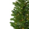 Pine * | Northlight 6.5 Pre-Lit Canadian Pine Artificial Pencil Christmas Tree Multi Lights