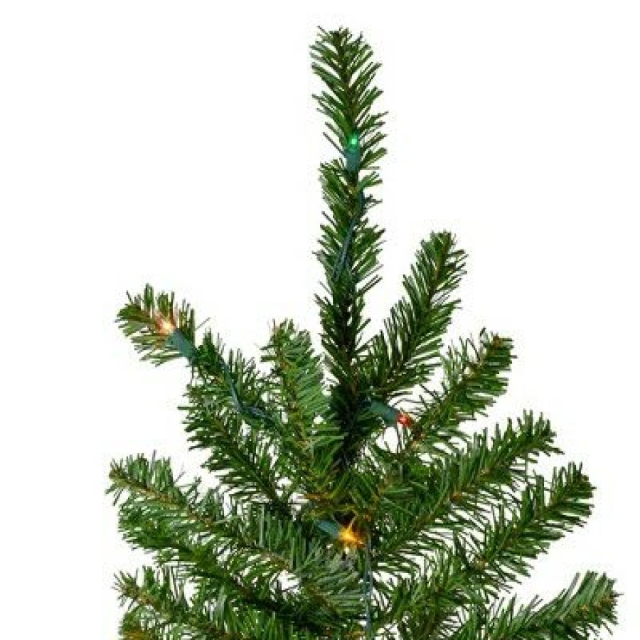 Pine * | Northlight 6.5 Pre-Lit Canadian Pine Artificial Pencil Christmas Tree Multi Lights