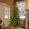 Fir Wood * | 7.5Ft Pre-Lit Full Berkshire Fir Artificial Christmas Tree Puleo