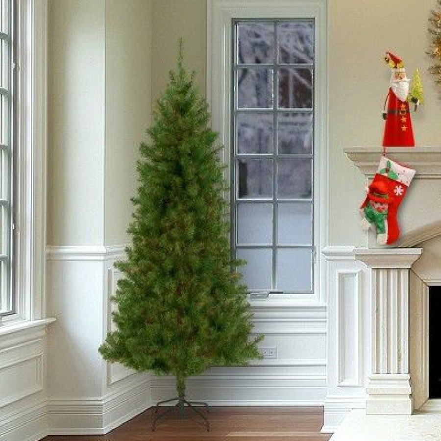 Fir Wood * | National Tree Company 7 Ft. Canadian Grande Fir Tree