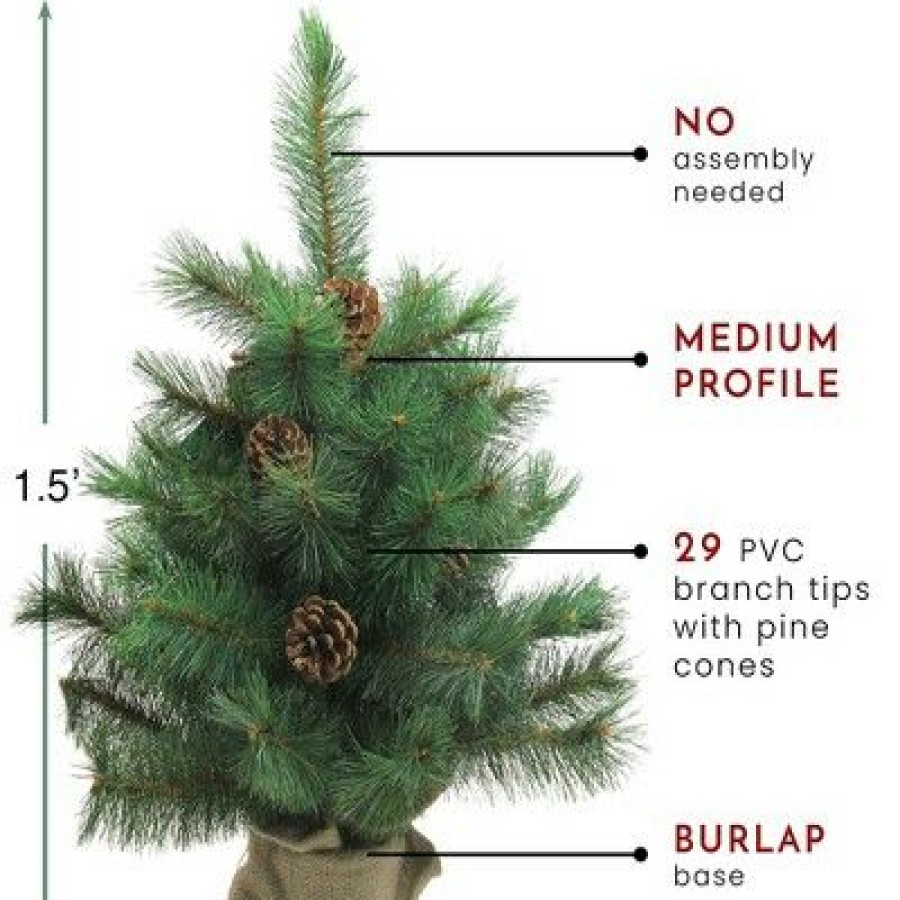 Pine * | Northlight 18 Medium Royal Oregon Pine Burlap Base Artificial Christmas Tree Unlit