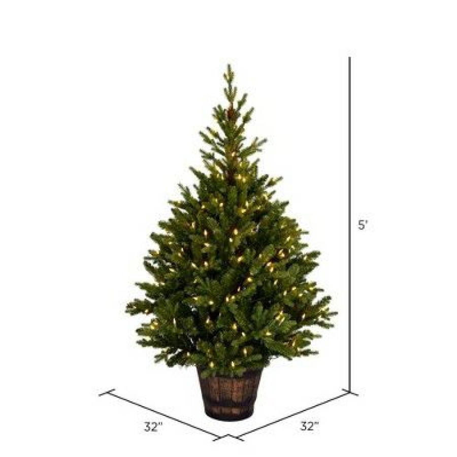 Unidentified Plant Variety * | Vickerman Reeder Pine Artificial Christmas Tree Warm White