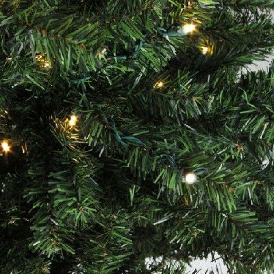 Pine * | Northlight 8 Prelit Artificial Christmas Tree Canadian Pine Clear Led Lights